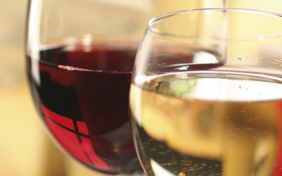 Entdeckt unsere neuen Weine